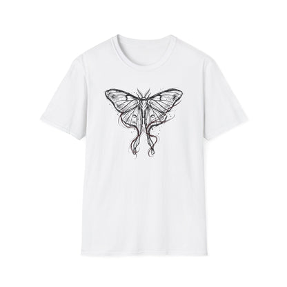 Ribbon Moth Study